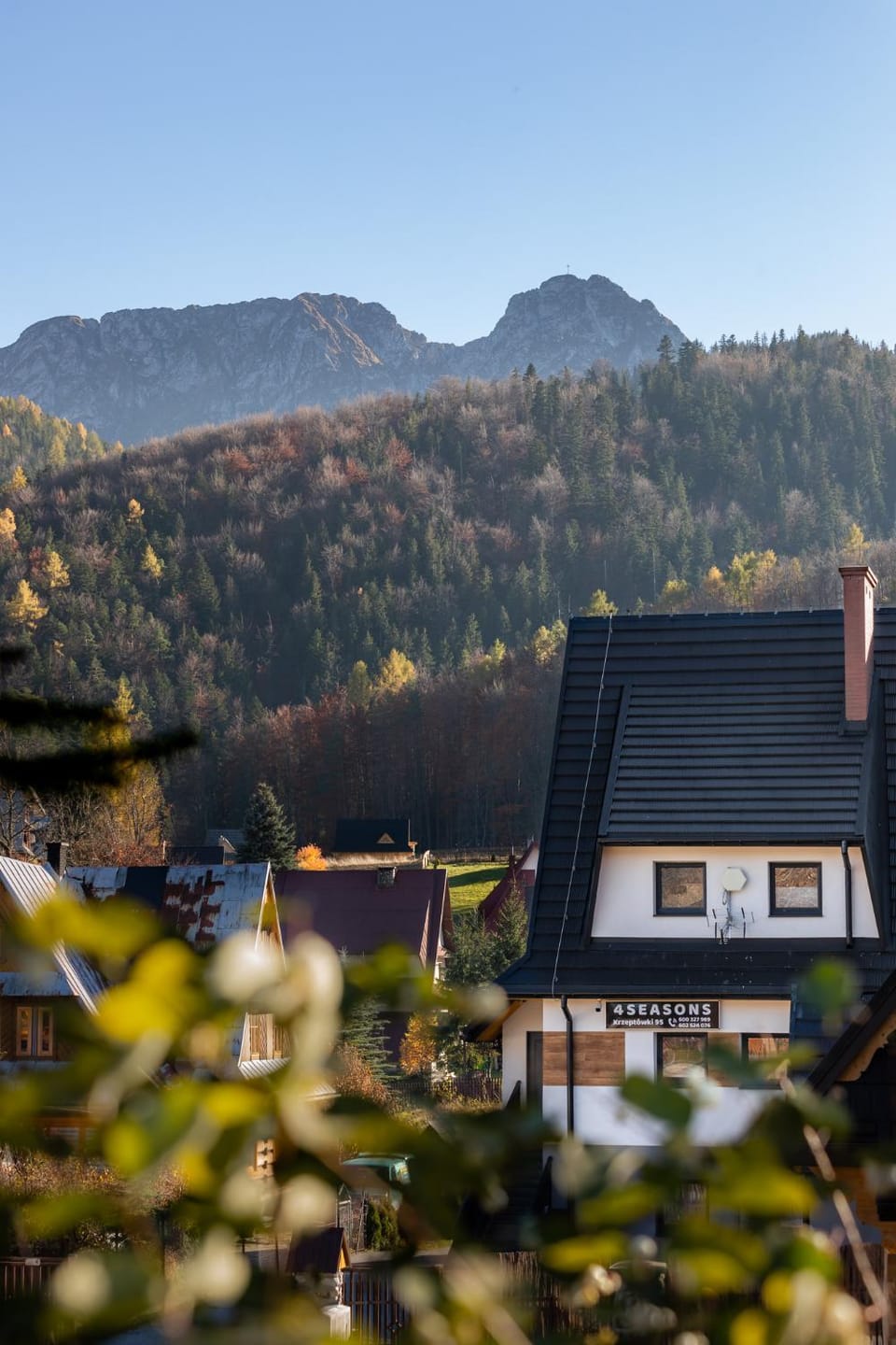 Mountain view