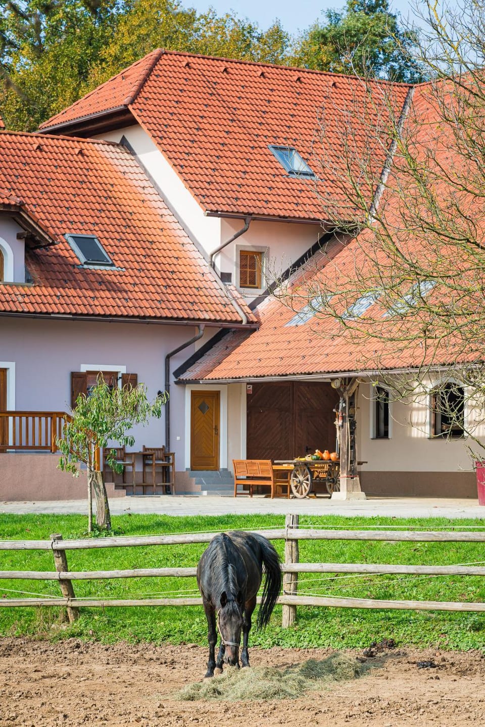Property building, Animals, Pets
