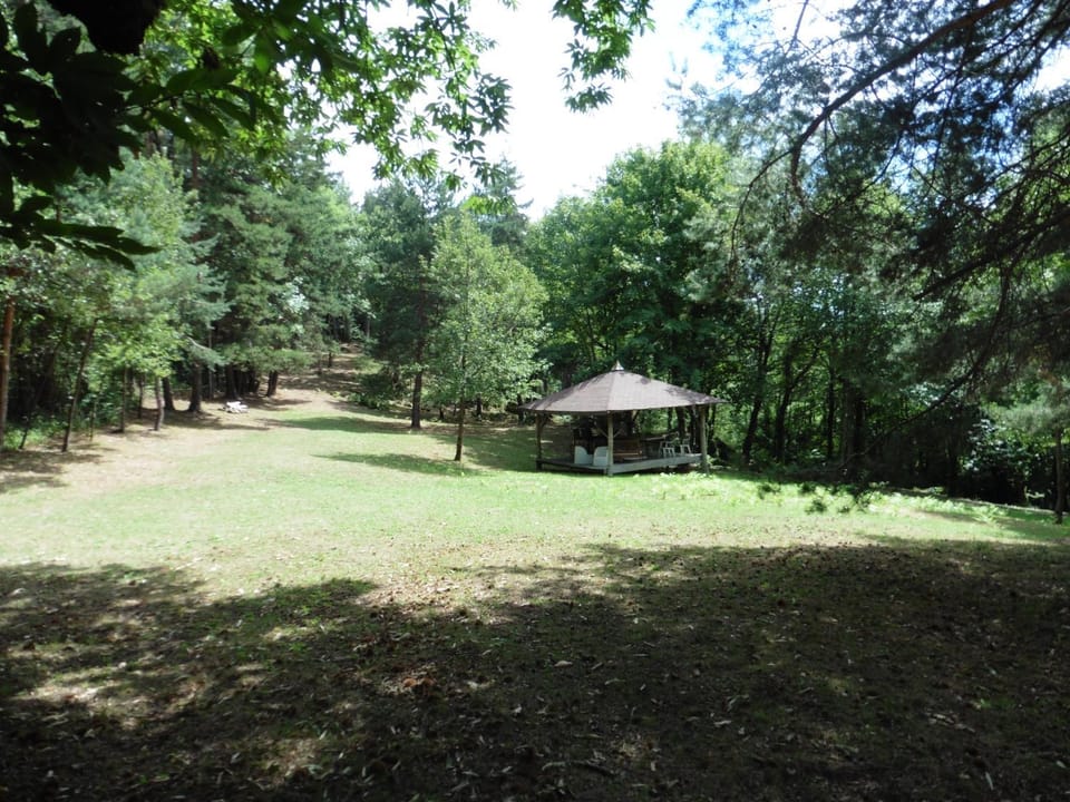 Garden, On site, Garden view