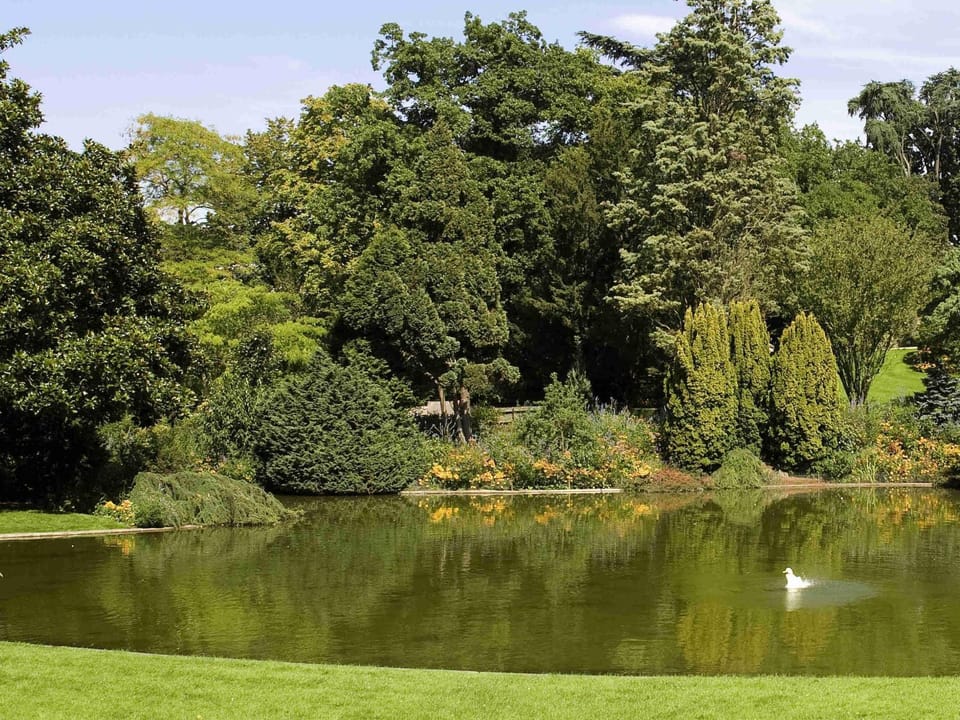 Garden, Other, Garden view