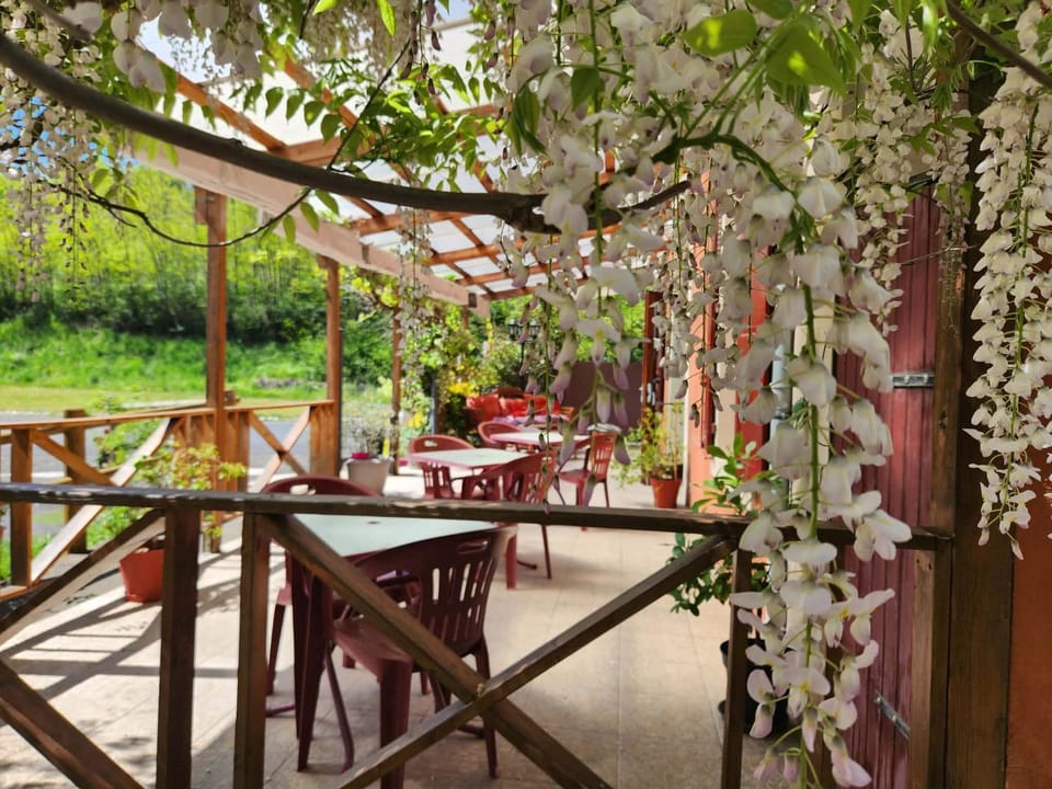 Hote de l'île chez Wendy et Fred Hotel in Auvergne-Rhône-Alpes
