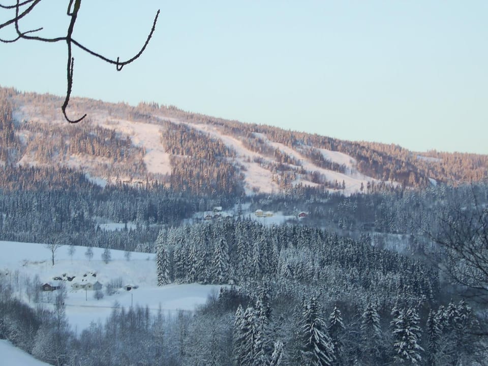 Skiing