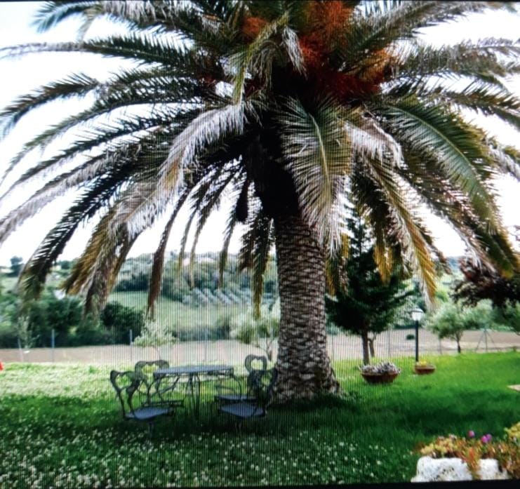 APPARTAMENTO FONTEBELLA Apartment in Marche