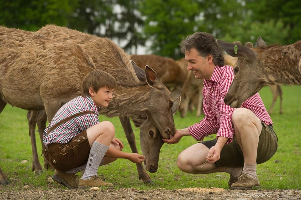 Day, People, Animals, children