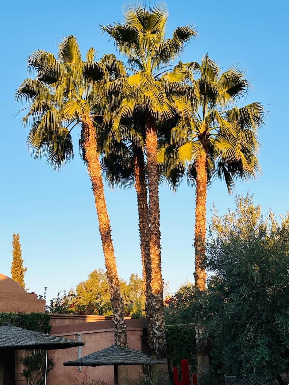 Villa Magtafa Villa in Marrakesh-Safi