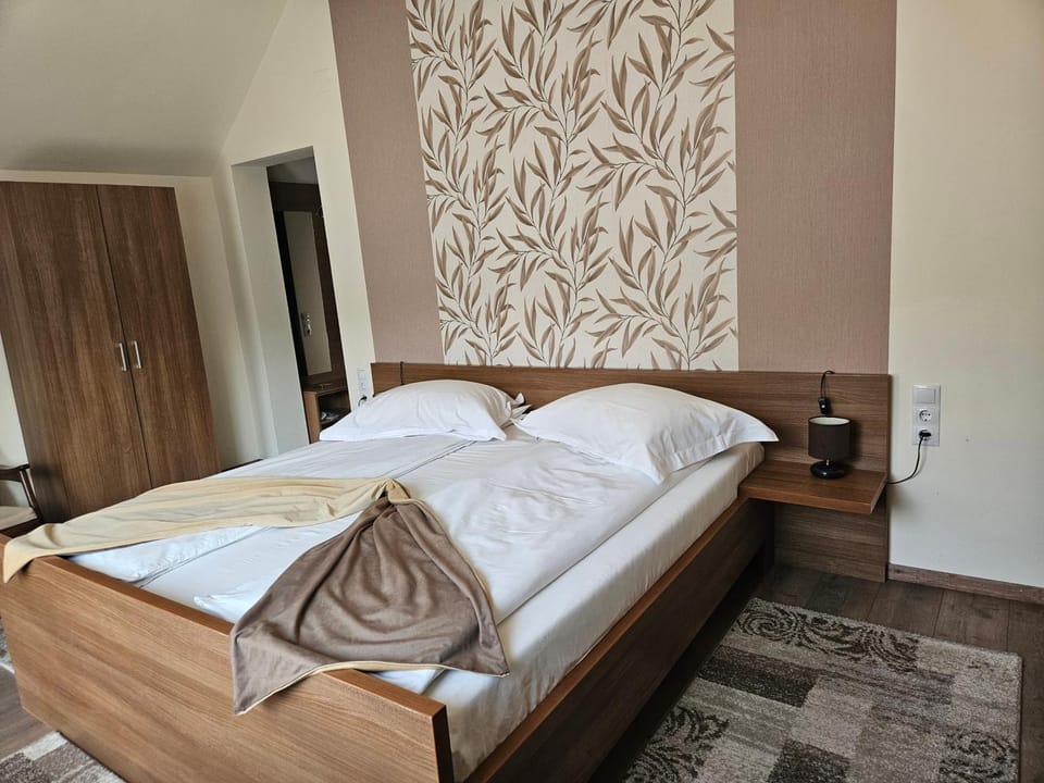 Pensiunea Michael's House Bed and Breakfast in Brașov County