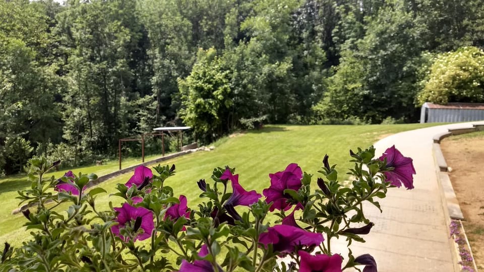 Appartamento La Casa nel Bosco Apartment in Piedmont