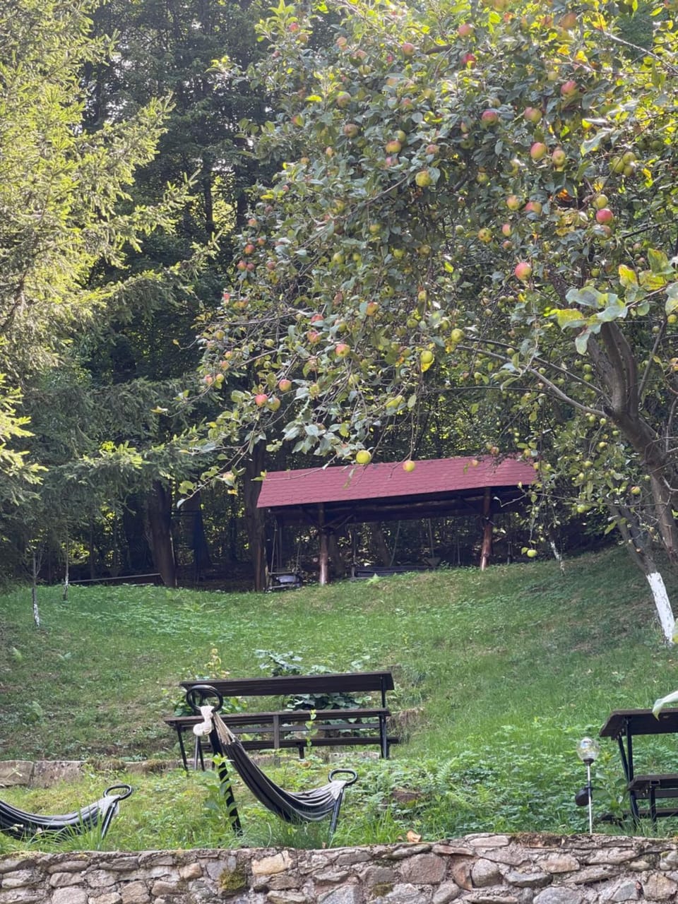 Pensiunea Domnescu Bed and Breakfast in Romania