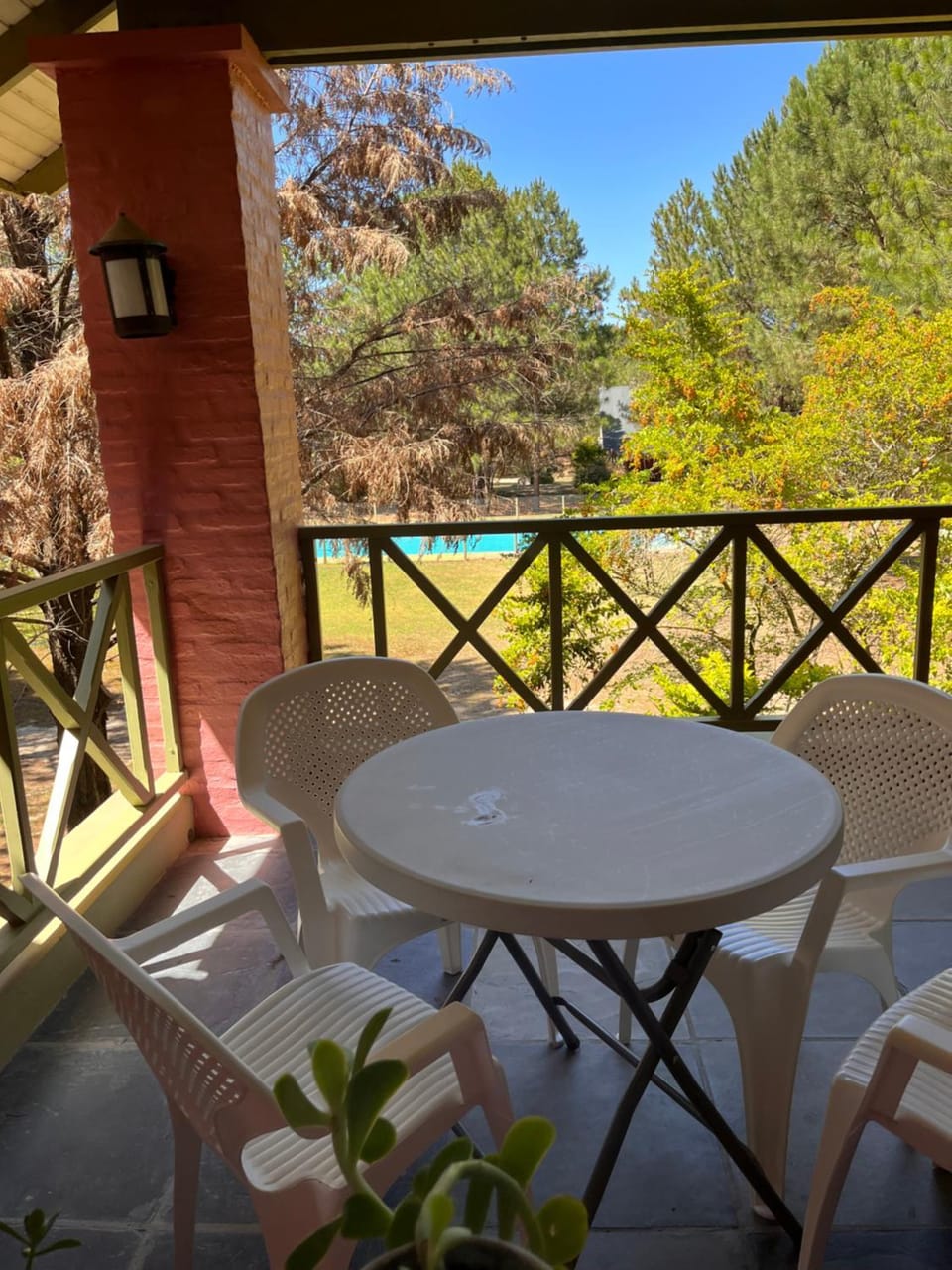Garden view