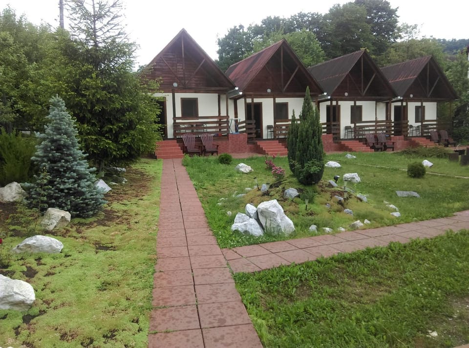 Vila Paula & SPA -ALL INCLUSIVE Bed and Breakfast in Romania