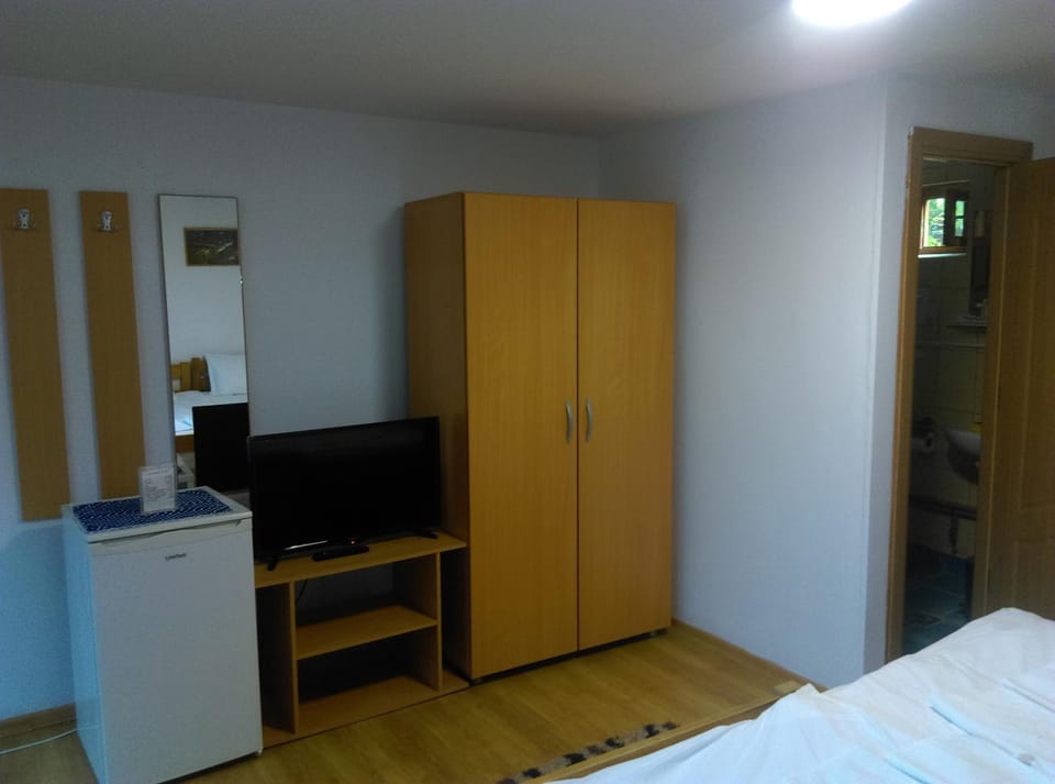 Vila Paula & SPA -ALL INCLUSIVE Bed and Breakfast in Romania