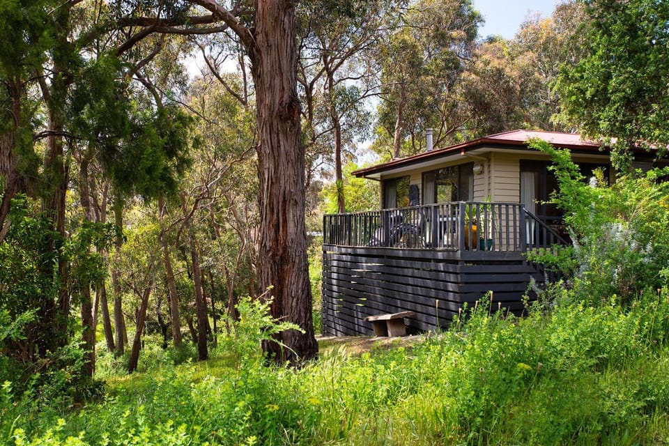 Property building, Garden view