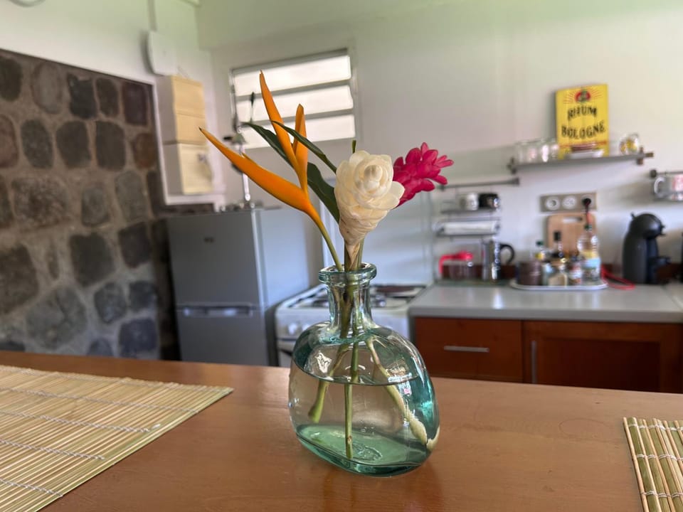 Gîte MAZUR House in Leeward Islands