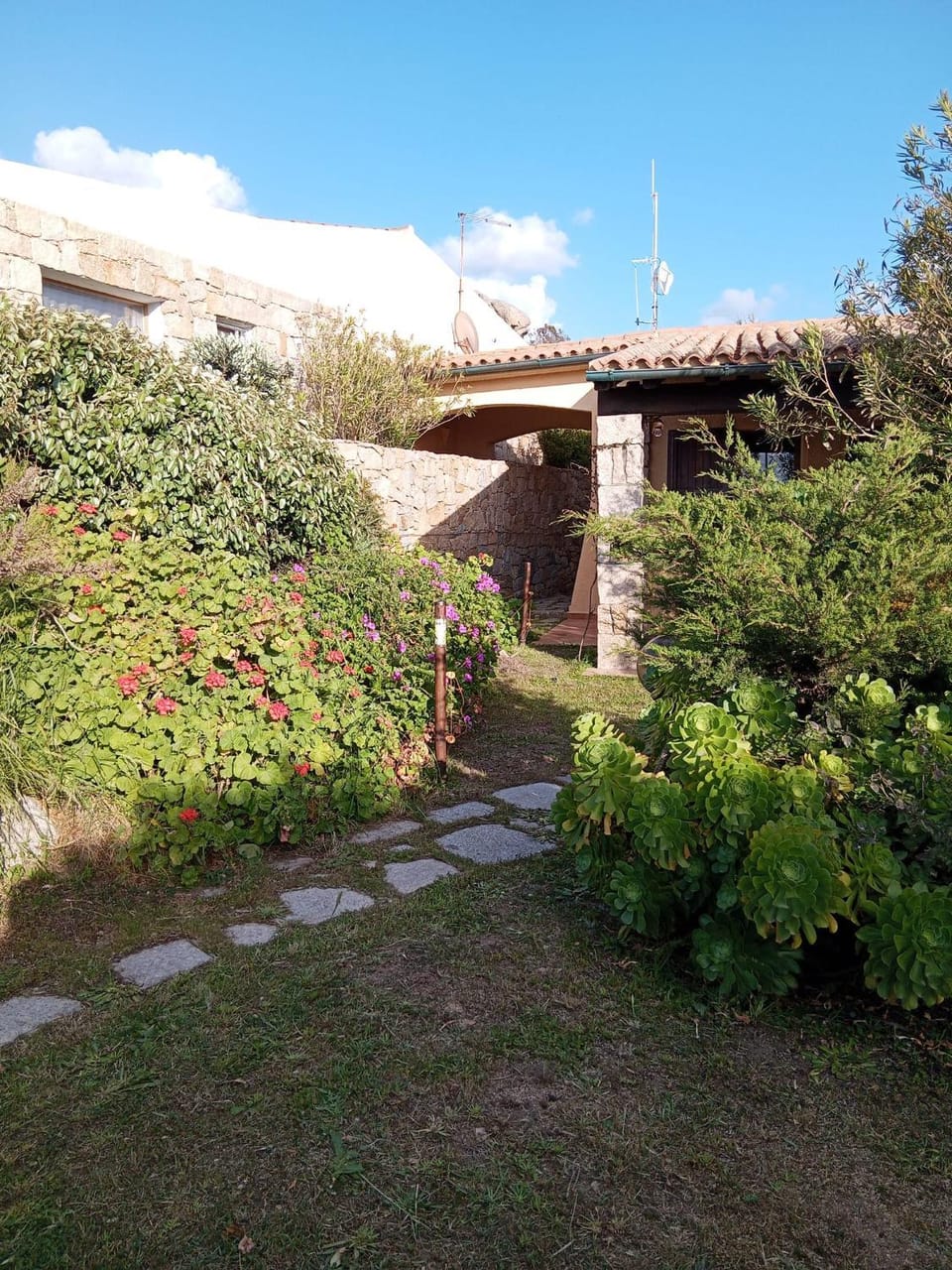 Day, Garden view