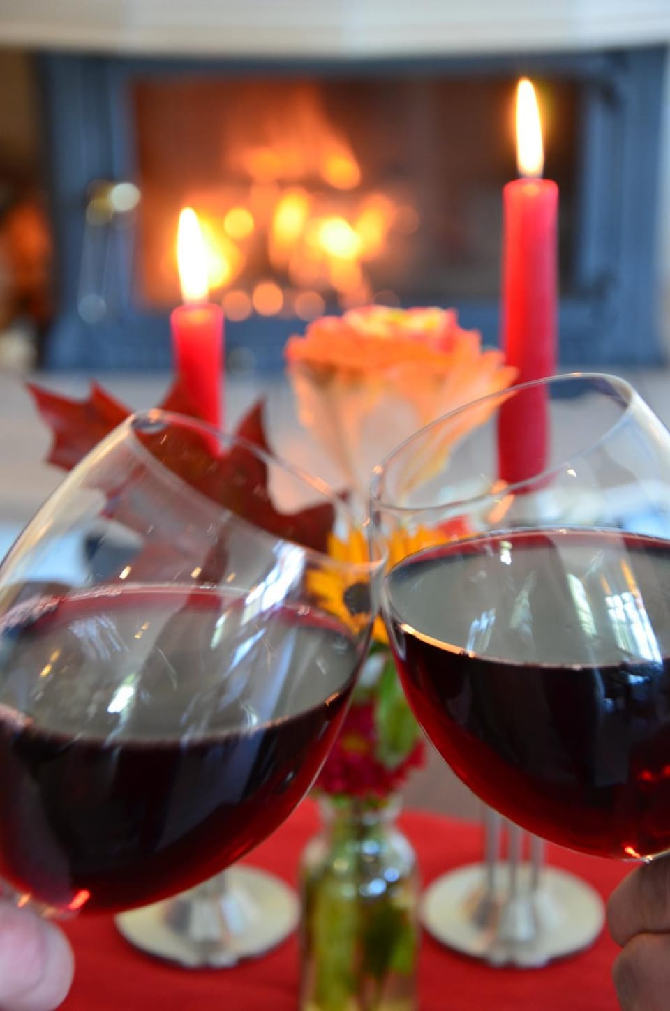 Night, Garden, Garden view