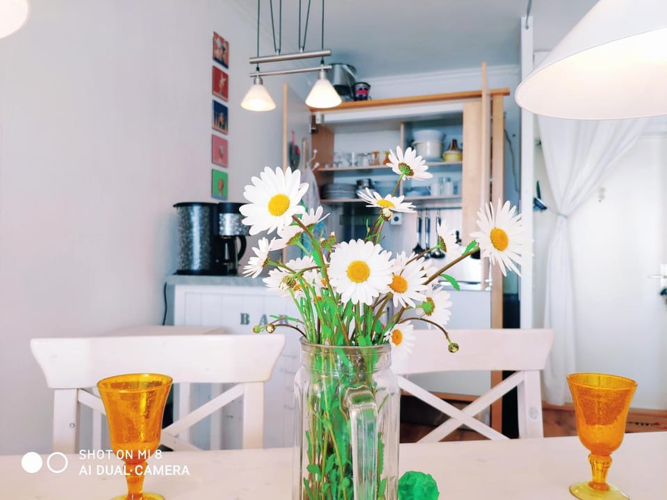 ZUM WOHLFÜHLEN FERIENWOHNUNG FÜR MAX 5 ERWACHSENE und 1 Kind, Schwimmbad vor der Tür, Tiere erlaubt Apartment in Sierksdorf