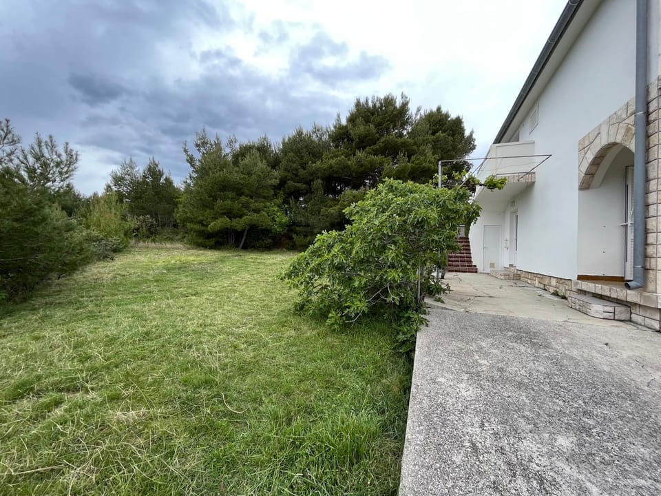 Property building, Garden, Garden