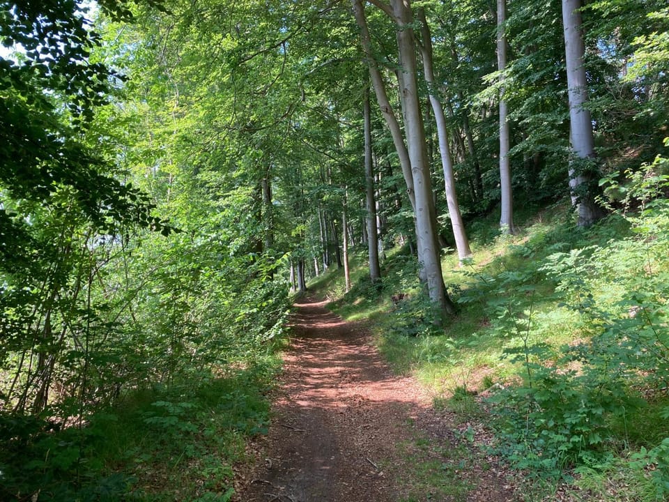 Restaurant/places to eat, Natural landscape