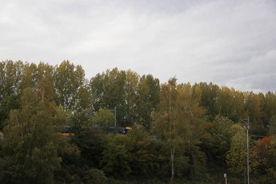 View (from property/room), Garden view, Quiet street view