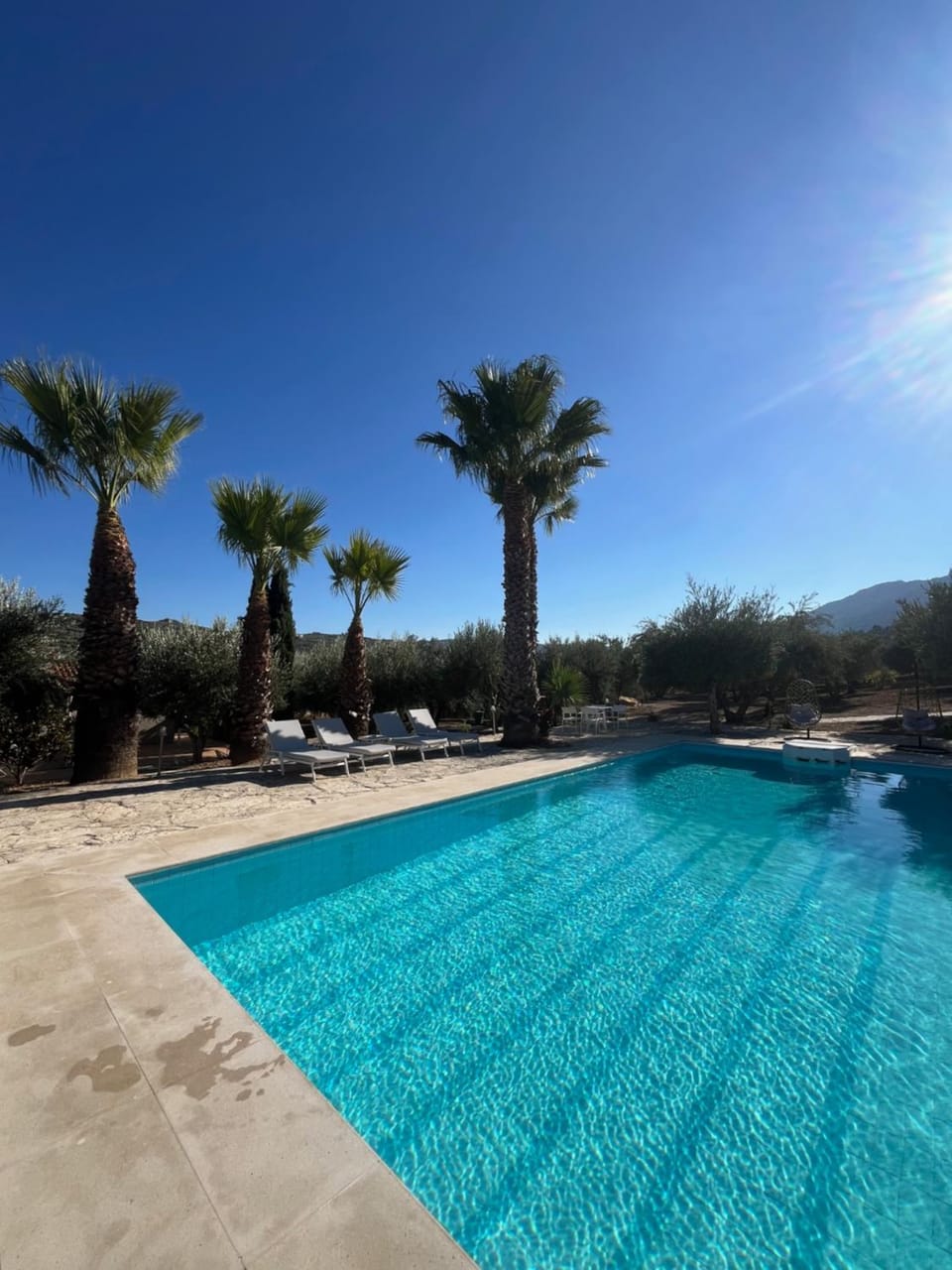 Garden, Swimming pool