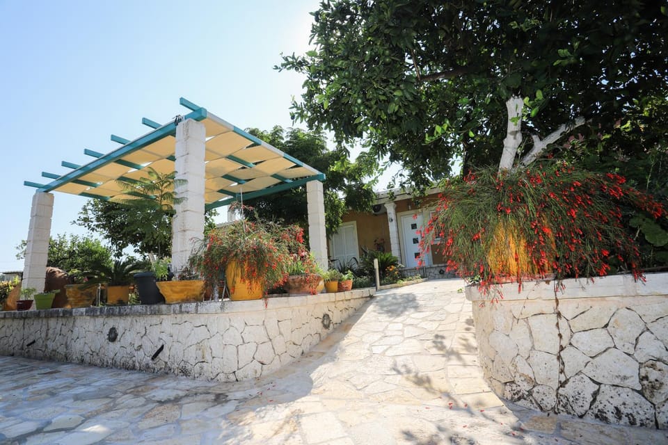 Property building, Patio, Facade/entrance, Garden