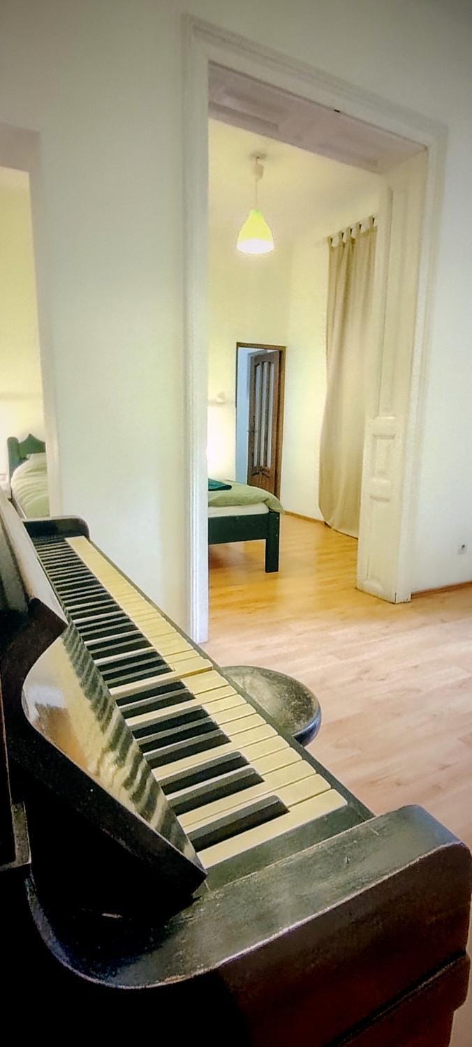Green House Apartment Apartment in Cluj-Napoca