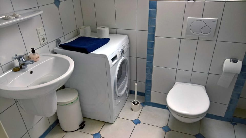 Toilet, Bathroom, washing machine