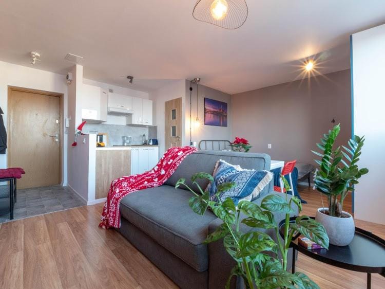 Kitchen or kitchenette, Living room, Seating area
