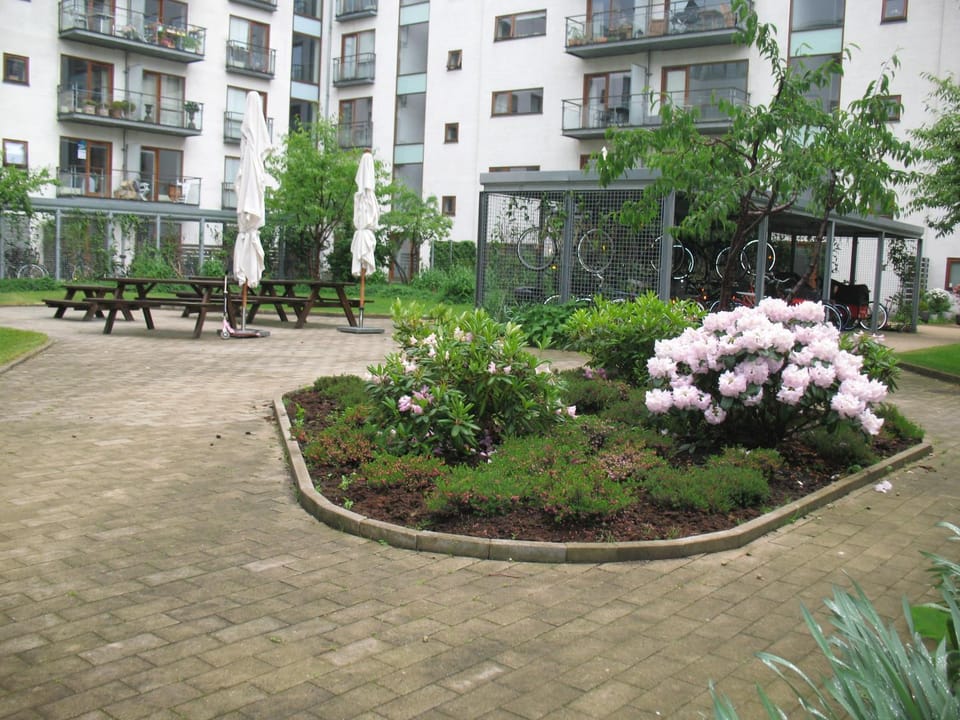 Spring, Natural landscape, Garden