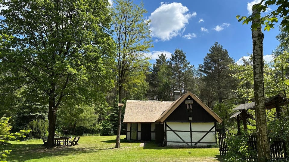 Bibianna Serce Lasu Villa in Greater Poland Voivodeship