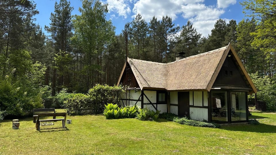 Bibianna Serce Lasu Villa in Greater Poland Voivodeship
