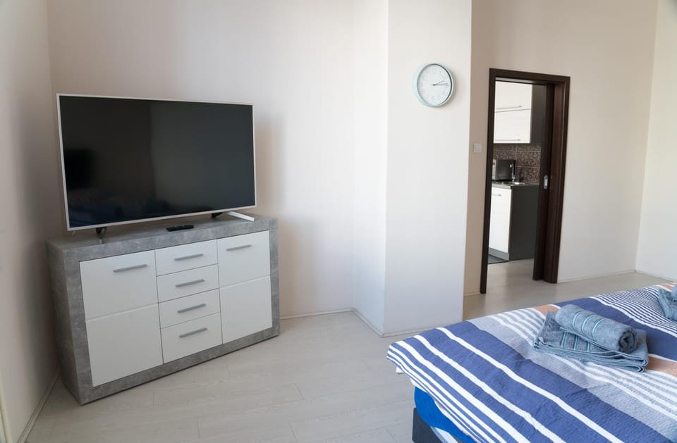 Apartment Třída Míru Apartment in Czechia