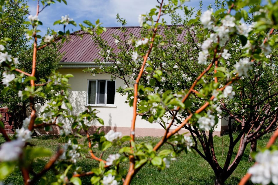 Barskoon Guest House Bed and Breakfast in Asia
