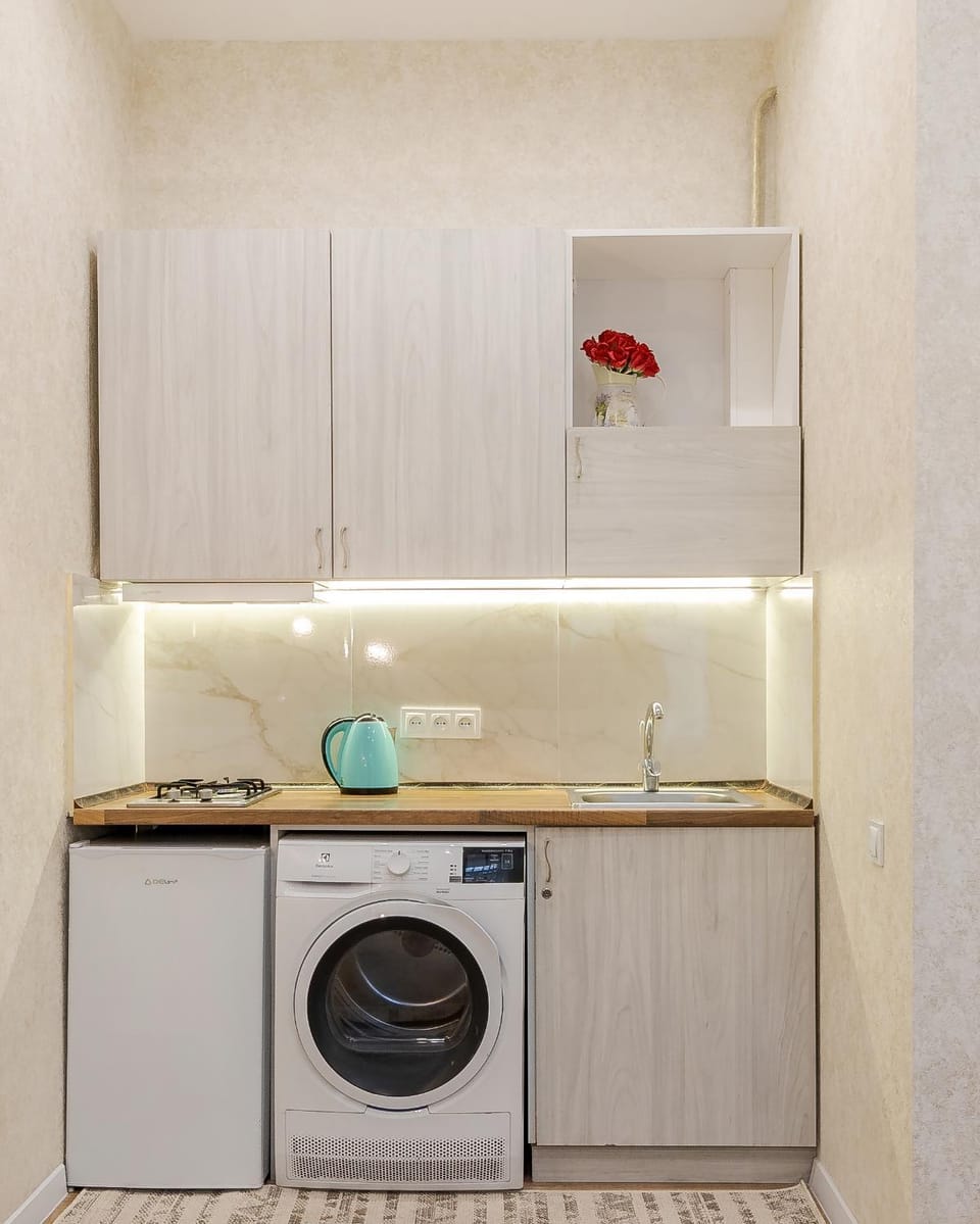Kitchen or kitchenette, minibar, stove, dryer