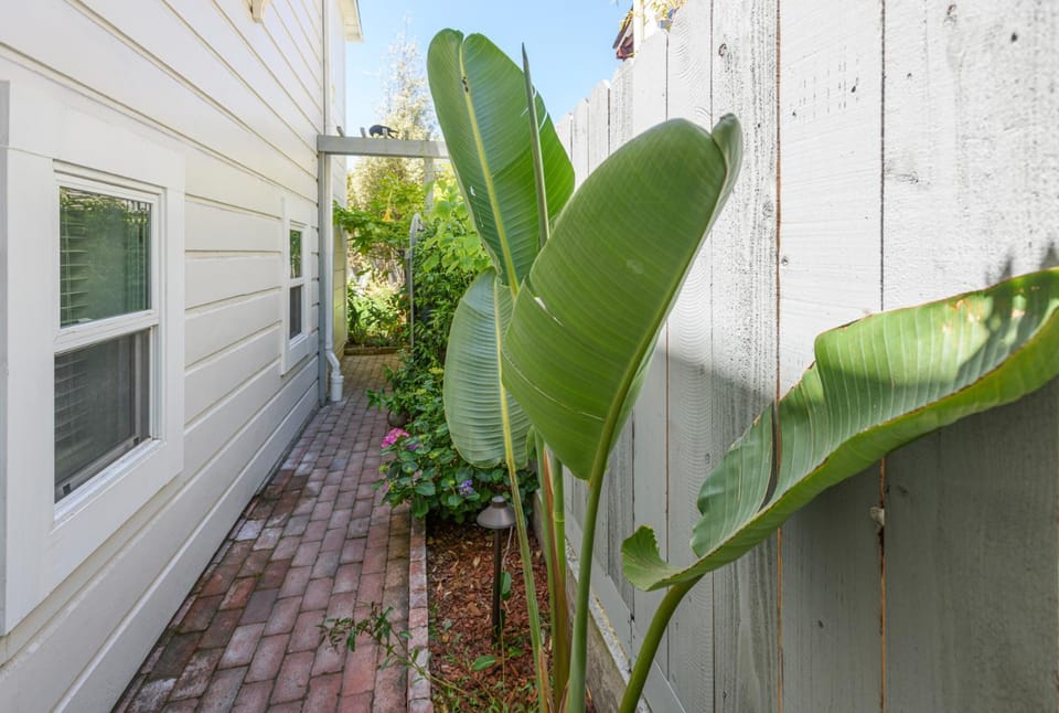 Property building, Garden