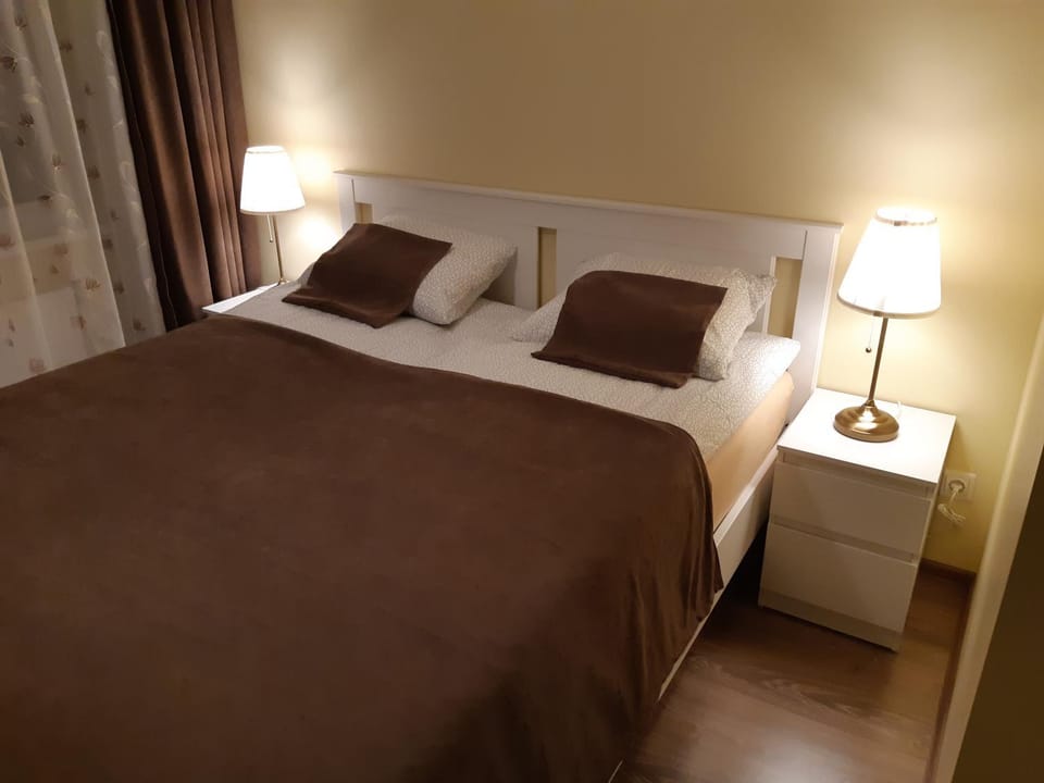 Sauliaus apartamentai VIP Apartment in Lithuania