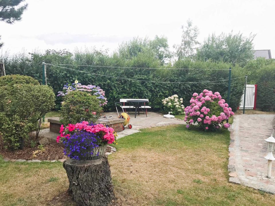 Garden, Garden view