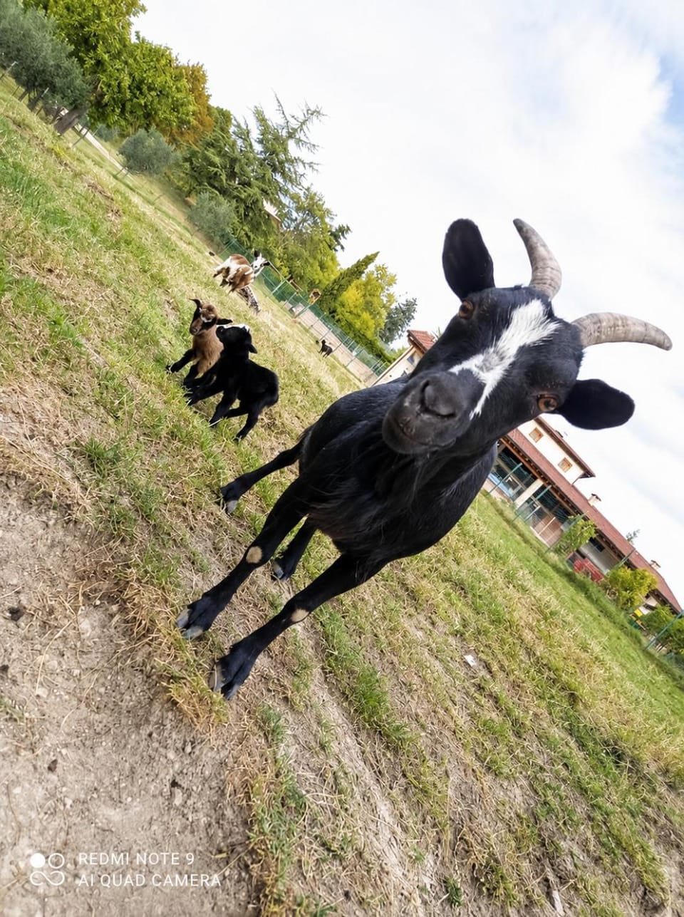 Agriturismo Corte Maccini Farm Stay in Veneto