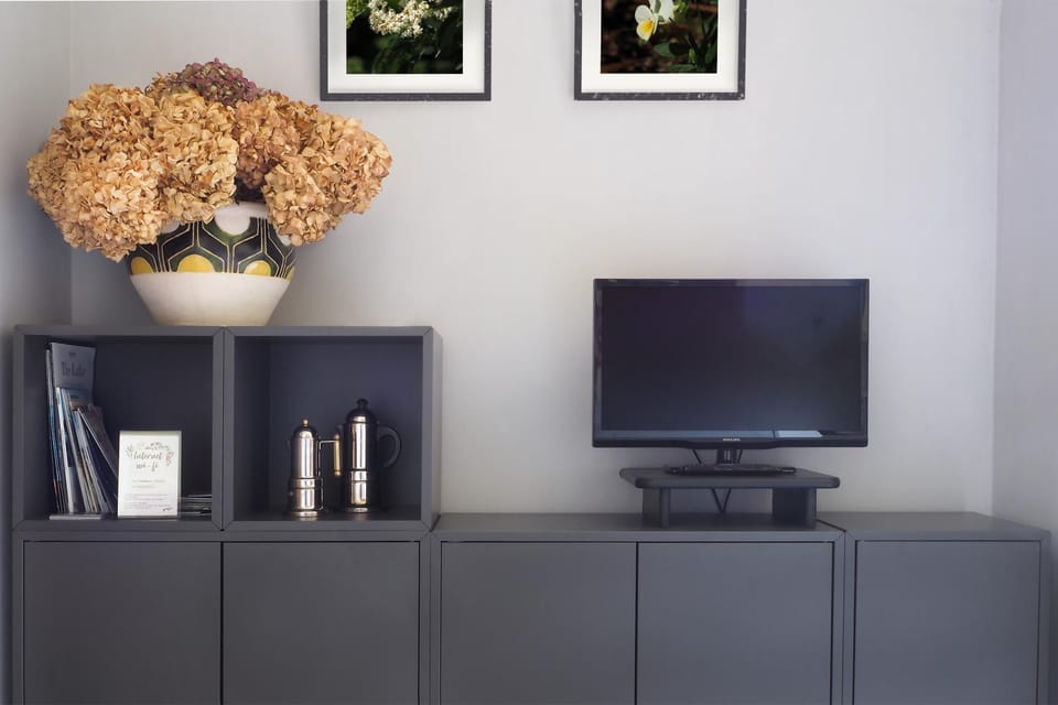 TV and multimedia