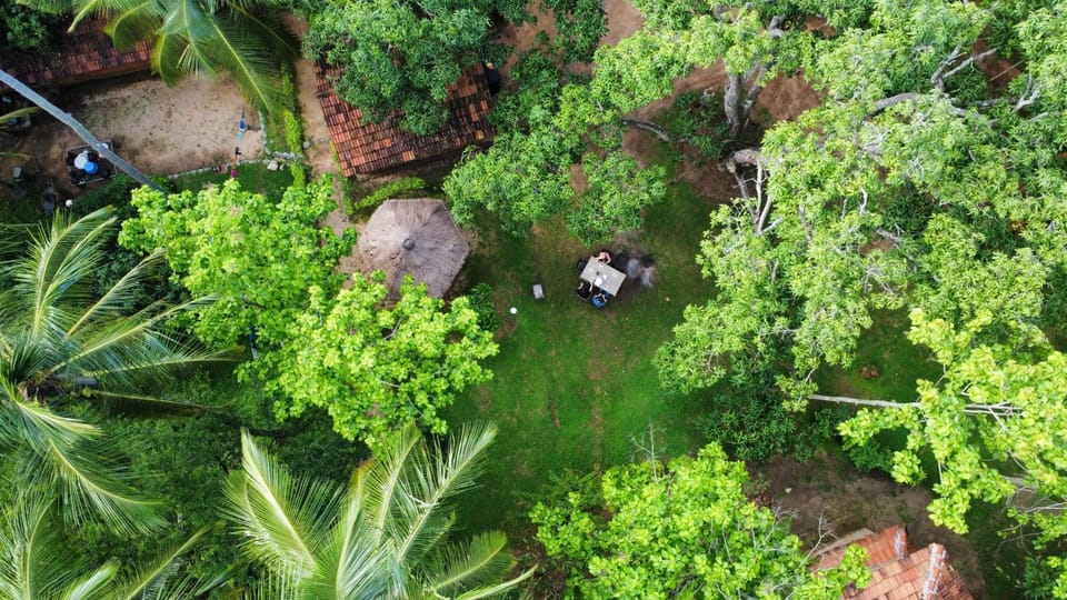 Spring, Bird's eye view, Garden