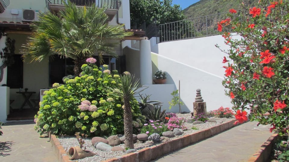 Garden, Balcony/Terrace, Area and facilities