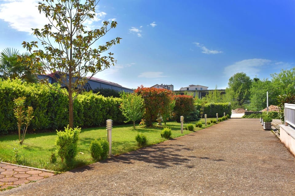 Garden view
