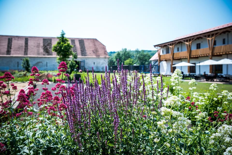 Spring, Day, Garden