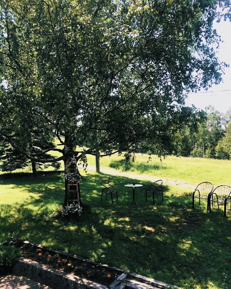 Apartman Tripković Apartment in Zlatibor District, Serbia