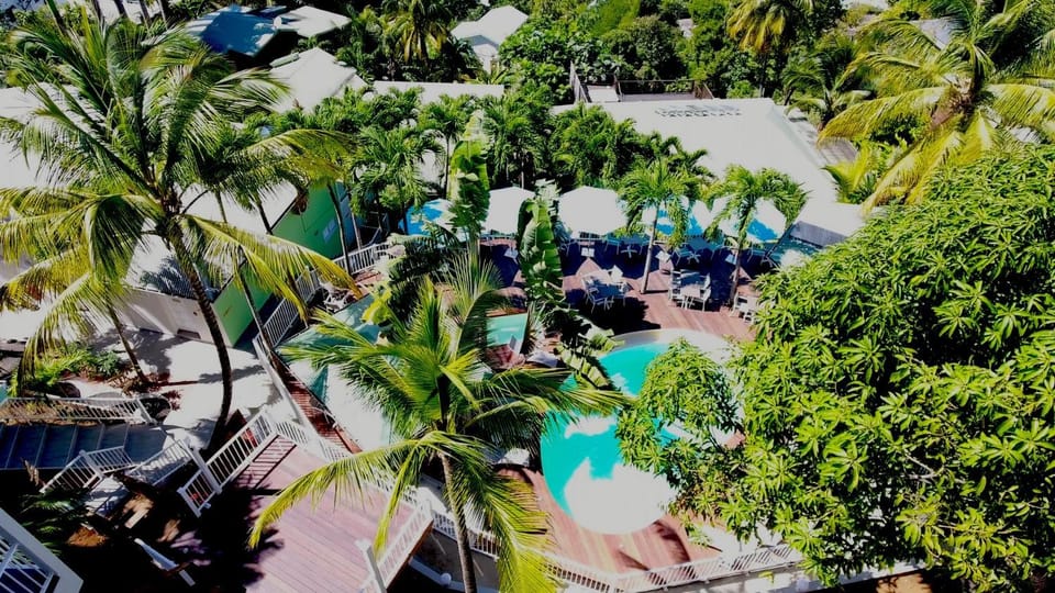 Property building, Day, Bird's eye view, Garden, Garden view, Pool view, Swimming pool, Swimming pool, sunbed
