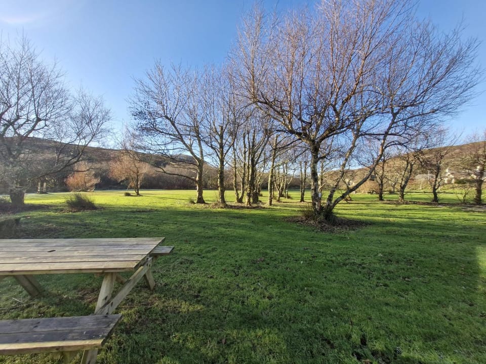Patio, Garden, Garden view
