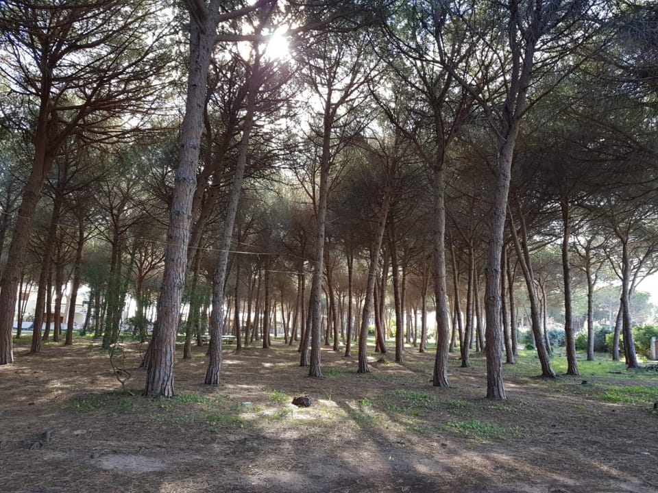 Natural landscape