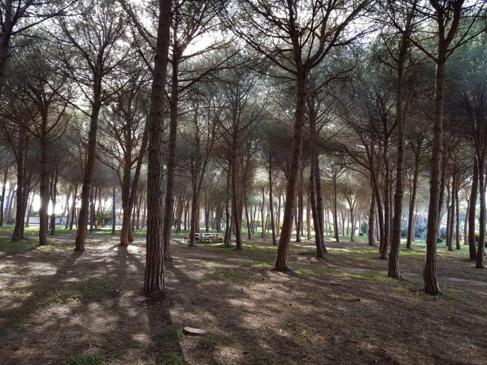 Natural landscape