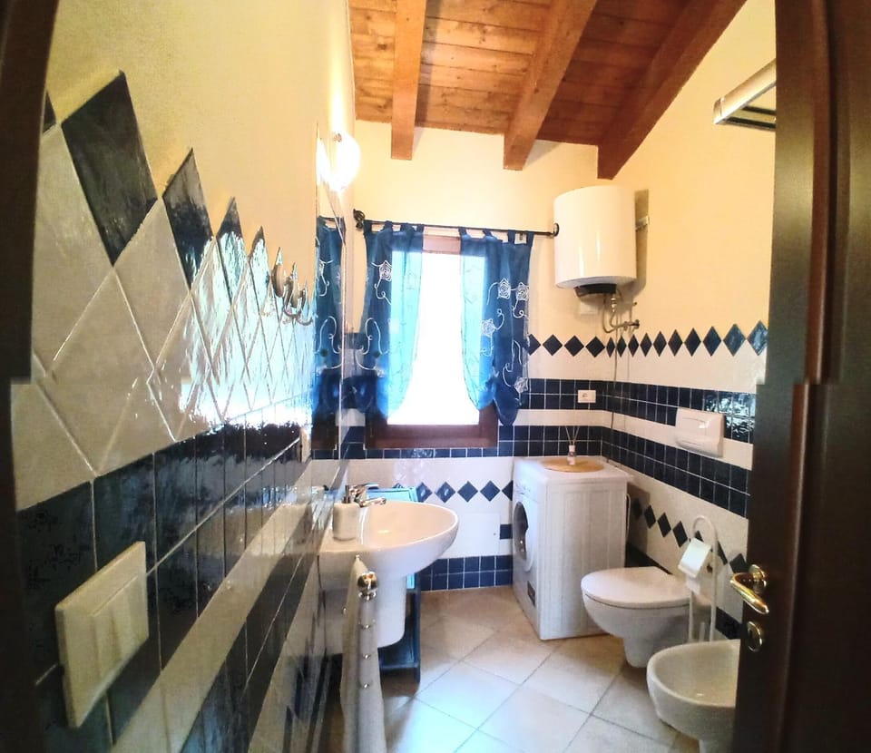 Toilet, Bathroom, bidet