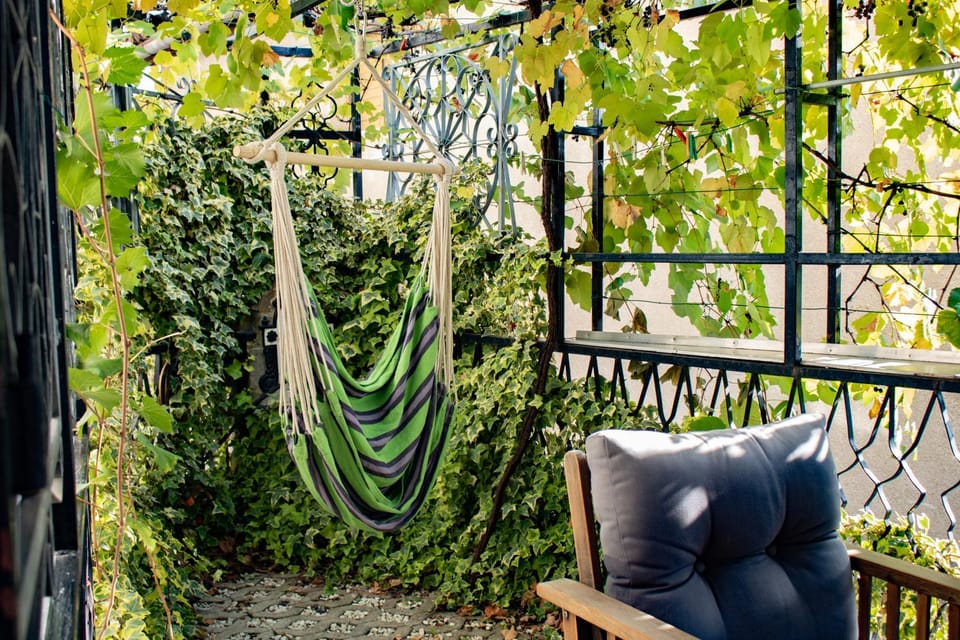 Garden, Seating area, Garden view